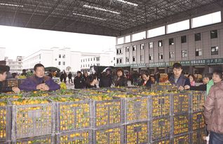 上饒農產品交易城 打造集交易、展覽、展示于一體的綜合性國際農副產品與鞋帽批發新樞紐
